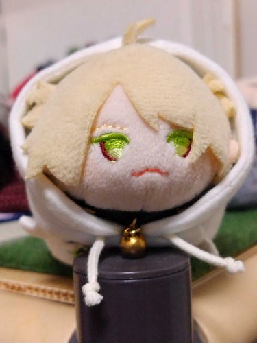 オレはふたばにゃ。
主がはじめてじぶんのきんじようにむかえてくれたにゃ。
あたまのふたばがぴんっとしてるから、ふたばにゃんだって。
すきなものは、ラーメンのチャーシュー！
よろしくにゃ！