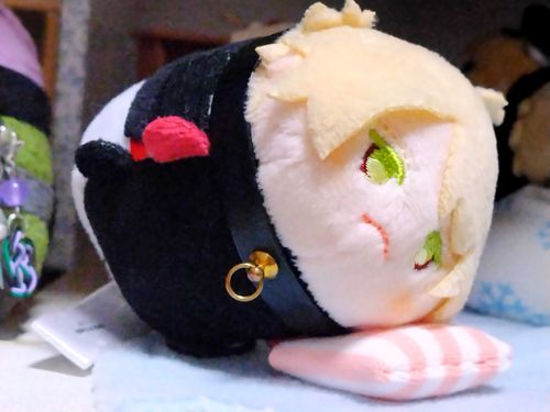 オレはふくにゃ〜。
みつばとおなじく、よごれありでみせにあったからほごされたにゃ。まあ、オレはふくふくマイペースだから、主のおかずもいただくにゃ！