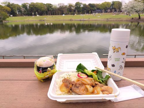 ☘️主のおともであおぞらランチにゃ…くもってるけど。
にくたべてるから、よし、にゃ！