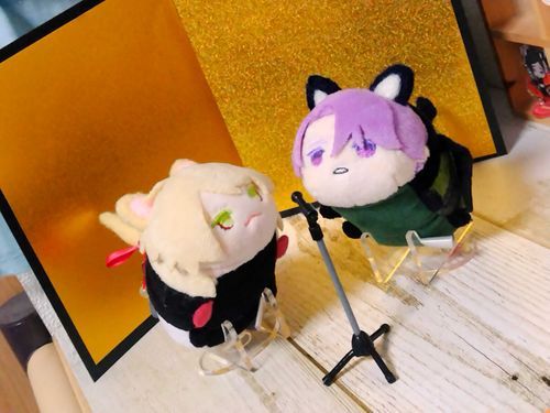 はい、どーも！にゃ！