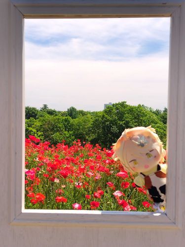 🌸🐱「にゃｖ」