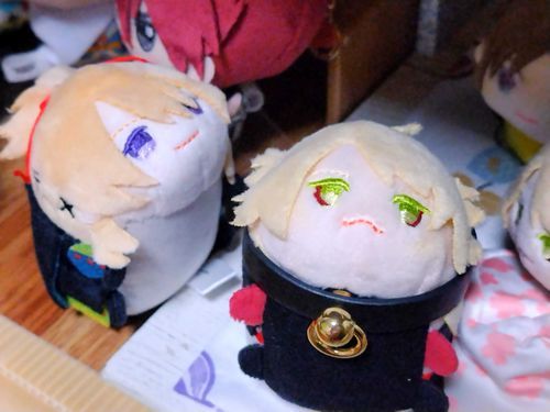 ☘️ほんまるにあたらしいなかまがきた、にゃ。それはいいけど、主のおでかけにおいていかれておこにゃ！