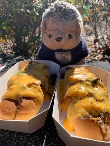 まりゅの公園ランチNo.2

僕はこれをギルティホットドッグと名付けました🌭チーズたっぷりで美味しかったですよ🩷