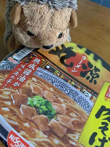 夜食のラーメン🍜

丸源ラーメンに一度行ってみたいと思ってたら、なんとカップ麺で売ってるじゃありませんか‼️
丸源ラーメン食べたことある方、僕におすすめメニュー教えて下さい🩷