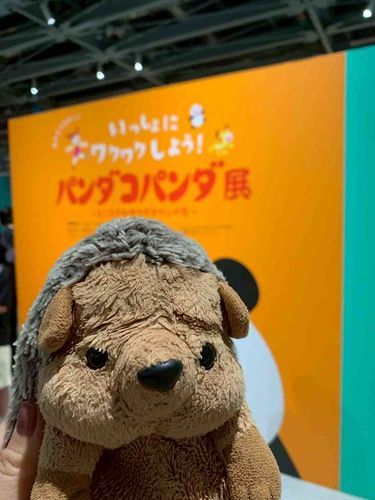 先日、パンダコパンダ展に行ってきましたよ🚗
お写真撮れる場所もたくさんあり、楽しかったですね📷