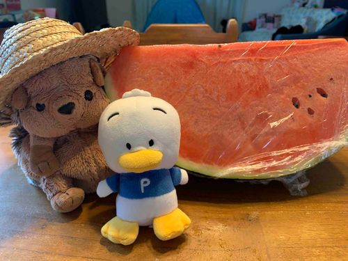 近所の八百屋さんでスイカを買いました😊こんなに大きくて600円🫢久しぶりにスイカ食べましたが、美味しいですね〜🩷