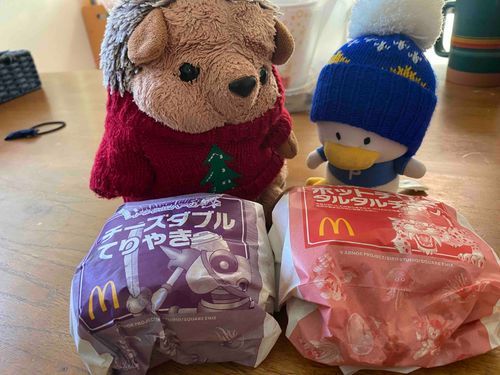 日曜日のお昼はマックでした🍔ドラクエコラボはワクワクしますよ😊僕も魔物を仲間にしてみたいですね〜🥺
