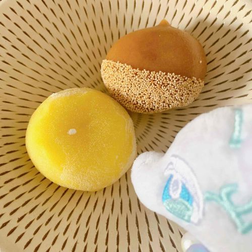 栗、すり潰されたのにもう一度栗の形になってる…🌰🍁