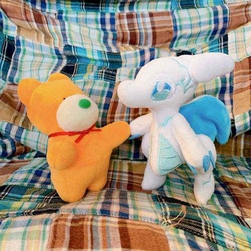 かわいい新入りさんだ〜！🍊ようこそ