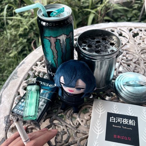 白河夜船-知ったかぶりをすること、または、ぐっすり眠り込んで、何が起こったか知らないことのたとえ。