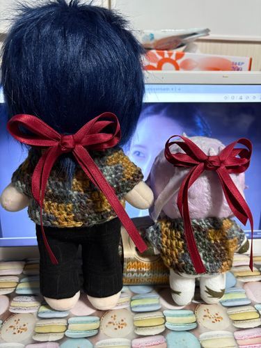昔からペアルックとリボンが大好きだったのでひょうちゃちゃにもお揃いのセーターを着てもらってリボンも付けてもらってる。
🎀属性大好き😘