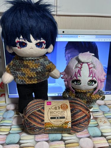 おほほのほ！リサイクルポリエステル毛糸のオータムリーフ手に入れてきた(＾○＾)
今日はこの毛糸でぬいセーター編む🧶🪡♥