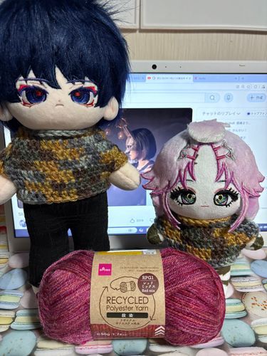 この🧶で全色😎
今日2着編めたらいいけど途中で力尽きたら明日に回す🌀꩜᪤‎𖦹‎