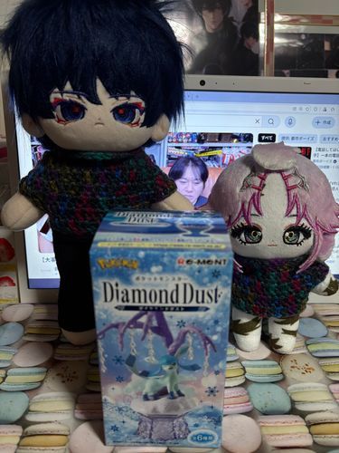 持ってなかったリーメント売ってたので買ったのですよ