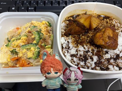 カシミールカレーとゴーヤチャンプルー😆😆