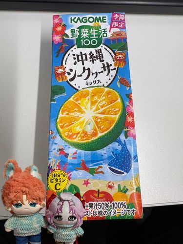 沖縄シークヮーサー🌴🌺✈