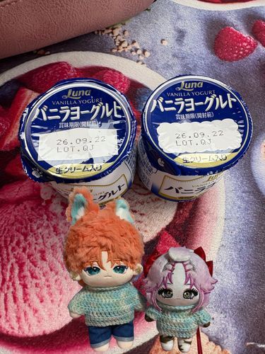 このヨーグルトがハチャメチャに美味しい♥️🥛🥛