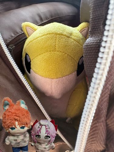 AEON行ったらまだお家にいないオールスターサンドちゃんおったからお迎えした🚗³₃😘