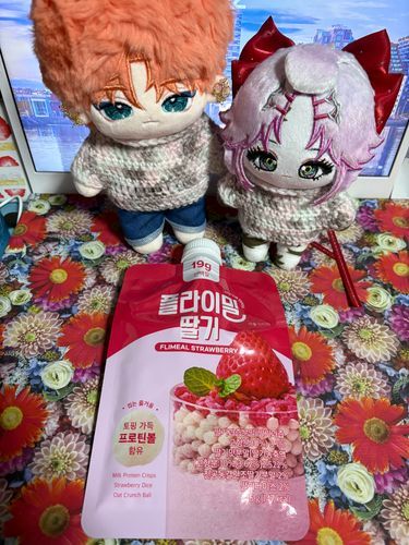 プロテイン13日目🍓