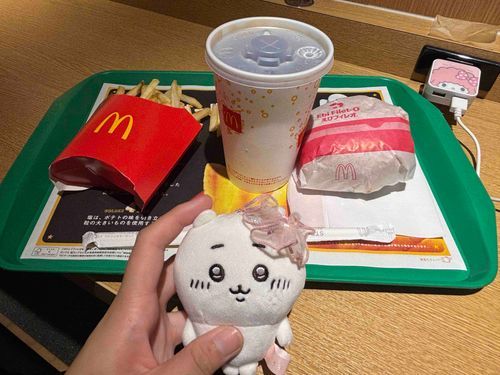 🐭｢海老フィレオ食べたよ🍤｣