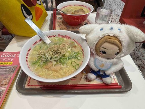 名古屋で有名なスガキヤってお店のラーメンですよ🍜
