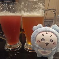 ばぶかにちゃん
