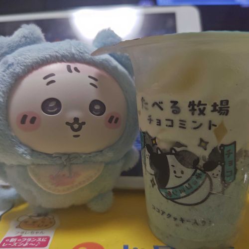 今日はチョコミン党なの
お洋服の色とちょっとにてるね