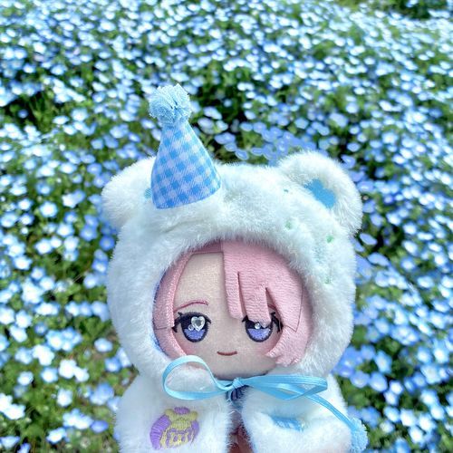 👑　ネモフィラですよ！