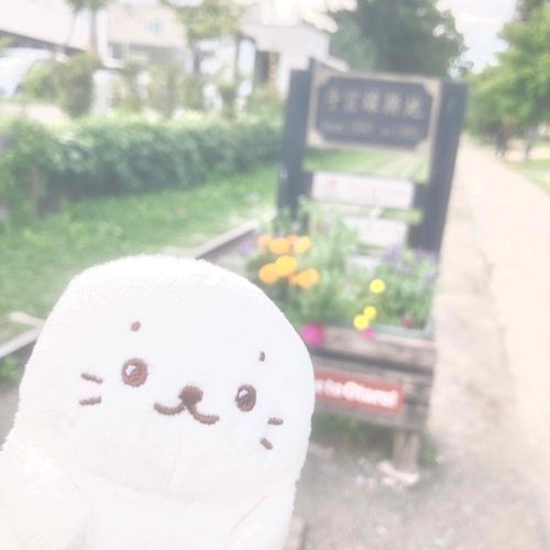 どこまでもゆきたい🚂♡