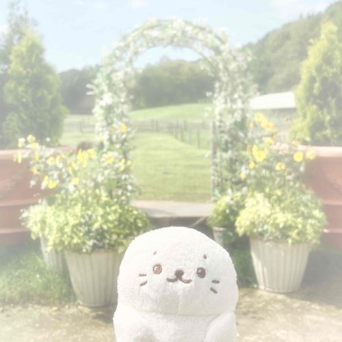 ひのあたる　🌼＊
