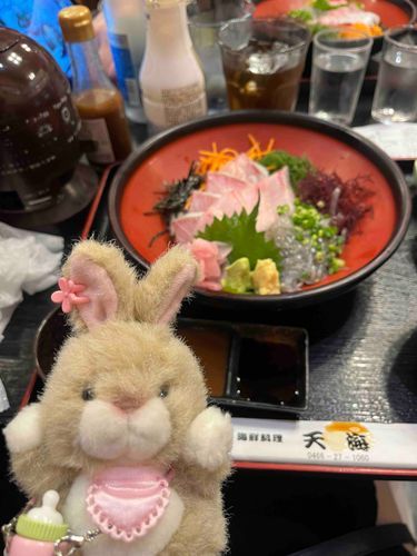 先日江ノ島で生しらす丼を食べました。うさぎさんは初生しらすだったそうです。
感想を聞いたら生しらすよりもかんぱちの方が美味しかったと言っていました。