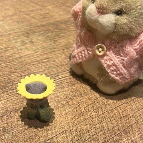 広末涼子みたいな帽子を被った猫ちゃんに遭遇しました。
