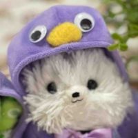 ポメたん