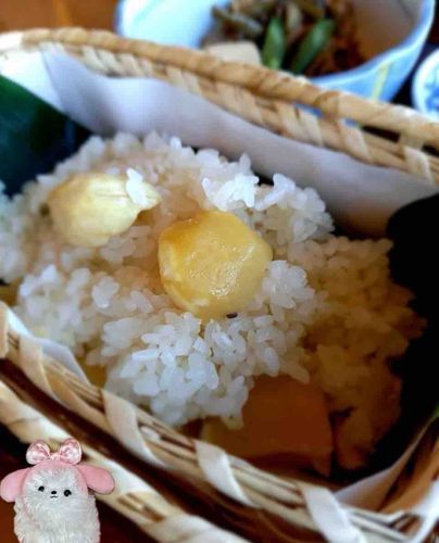 ２日目は小布施行って🌰三昧‼️🌰おこわはホクホク甘甘でうましっ😋マロンづくしパフェはくまさんモナカがついてたのでアイスをディップしてペロリ、うましっ😋マンホール長野だけに🍎〜