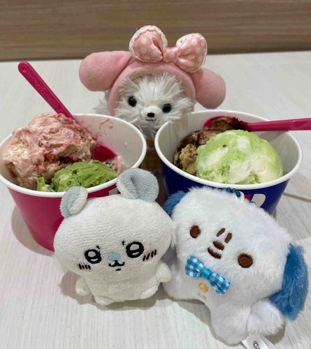 お友達のぷんぷん君とサーティーワンでアイス食べた🍨期間限定キウイ杏仁さっぱりでグー🤤抹茶あんみつも抹茶きいててうまし
ラブポーションつっついてぐちゃぐちゃしちゃった🫣