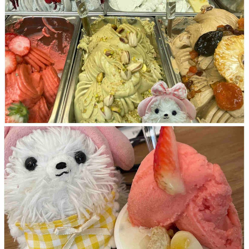 箱根旅行その1📸
まず自然薯そばで腹ごしらえ、その後ジェラート🍧💕全部美味しそうで悩む💦🍓と🥥にしたぞ❗️んまんま😋
大涌谷は☔️小降りだけど🗻見えてラッキー🙌サンリオのパイセンと記念写真🥚
