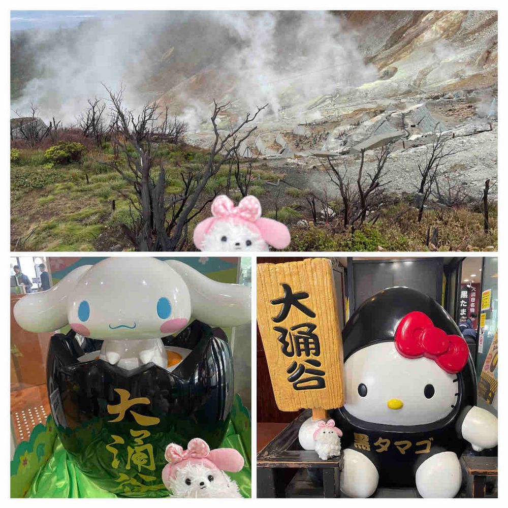 箱根旅行その1📸
まず自然薯そばで腹ごしらえ、その後ジェラート🍧💕全部美味しそうで悩む💦🍓と🥥にしたぞ❗️んまんま😋
大涌谷は☔️小降りだけど🗻見えてラッキー🙌サンリオのパイセンと記念写真🥚