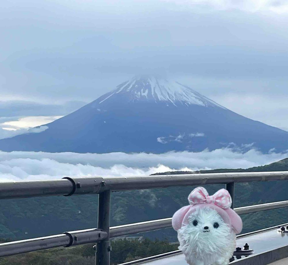 箱根旅行その1📸
まず自然薯そばで腹ごしらえ、その後ジェラート🍧💕全部美味しそうで悩む💦🍓と🥥にしたぞ❗️んまんま😋
大涌谷は☔️小降りだけど🗻見えてラッキー🙌サンリオのパイセンと記念写真🥚