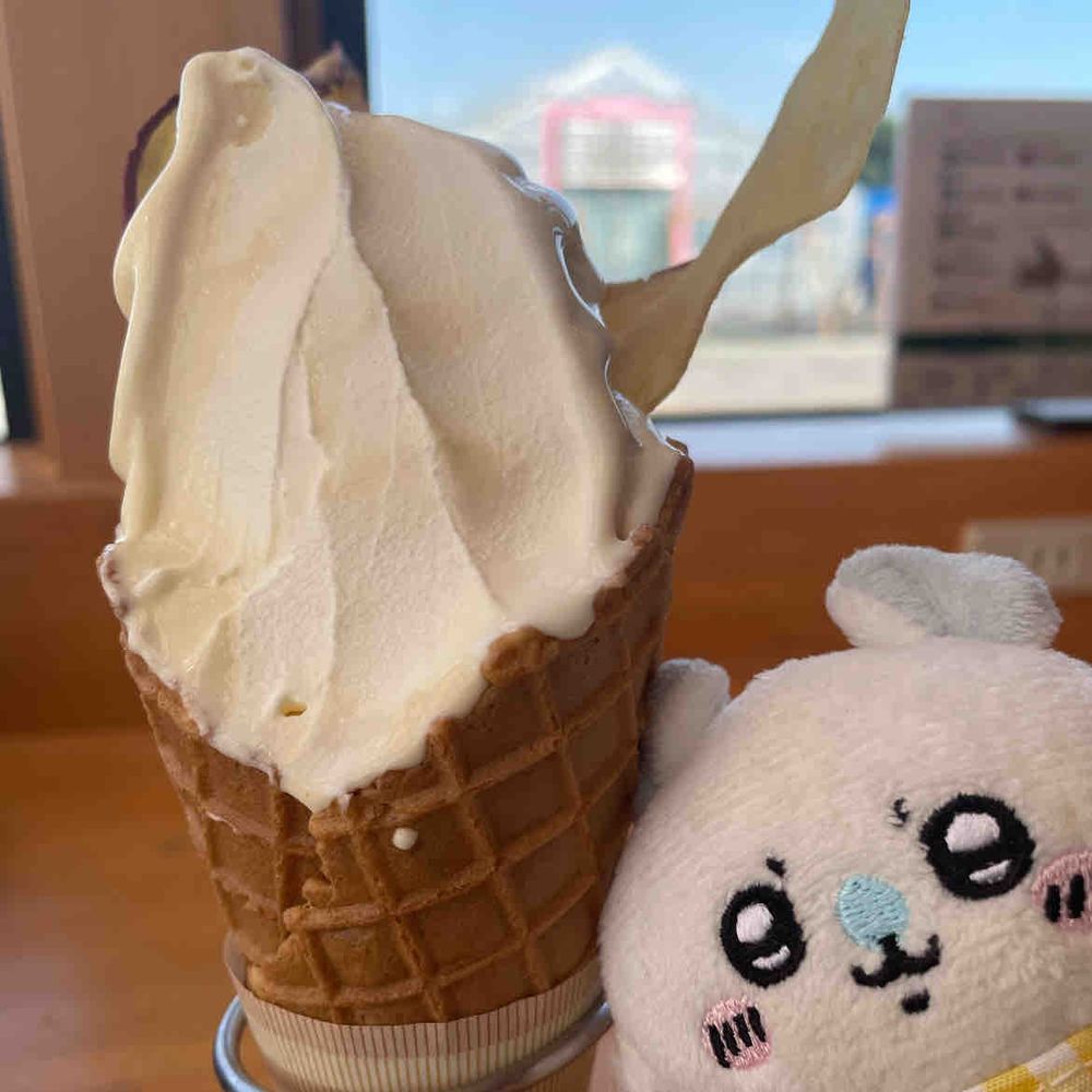 大好きなパーラーでアイチュでちゅ！見て〜ソフトクリームは少し黄色いのさつまいもとバニラの層になってまちゅ❗️いもチップスオンザアイチュ🍨🎶主、おいちぃでちー💕（誰❓）