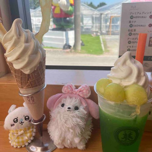 大好きなパーラーでアイチュでちゅ！見て〜ソフトクリームは少し黄色いのさつまいもとバニラの層になってまちゅ❗️いもチップスオンザアイチュ🍨🎶主、おいちぃでちー💕（誰❓）