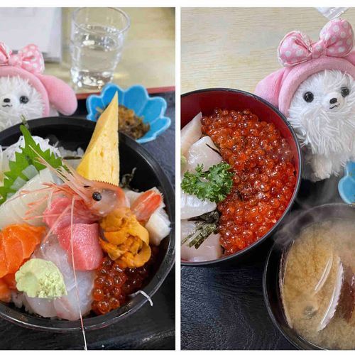 🎶は〜るばる来たぞ北海道〜✈️体調は万全ではない主だけど💦前に計画してた北海道へ〜初日は小樽で特大にしん👀や海鮮丼を堪能し、夜は札幌でジンギスカン🐑皆美味し🥰小樽運河、すごく素敵✨️