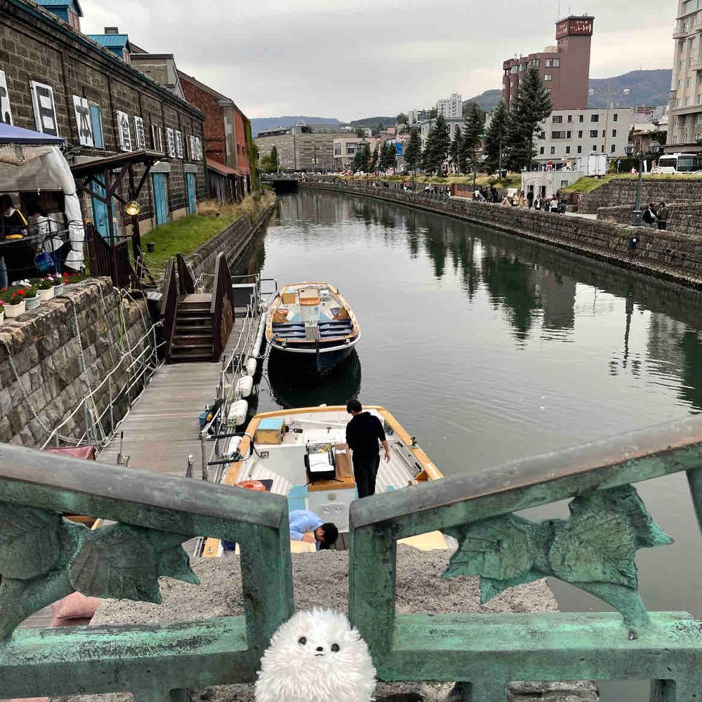 🎶は〜るばる来たぞ北海道〜✈️体調は万全ではない主だけど💦前に計画してた北海道へ〜初日は小樽で特大にしん👀や海鮮丼を堪能し、夜は札幌でジンギスカン🐑皆美味し🥰小樽運河、すごく素敵✨️