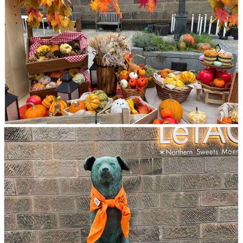北海道富良野です！お付き合い🙏
ルタオ前はハロウィン🎃仕様！消防犬ぶんちゃんもオレンジスカーフに🎃と👻つけて😊。
2枚目は黒板五郎さんの石の家🏡‼️感動した主😭でお土産に純のぼやきバンダナ買った🤣
4枚目はローストビーフ丼で有名な「くまげら」へ〜めちゃウマでしたぜ(o'ч'o)♡