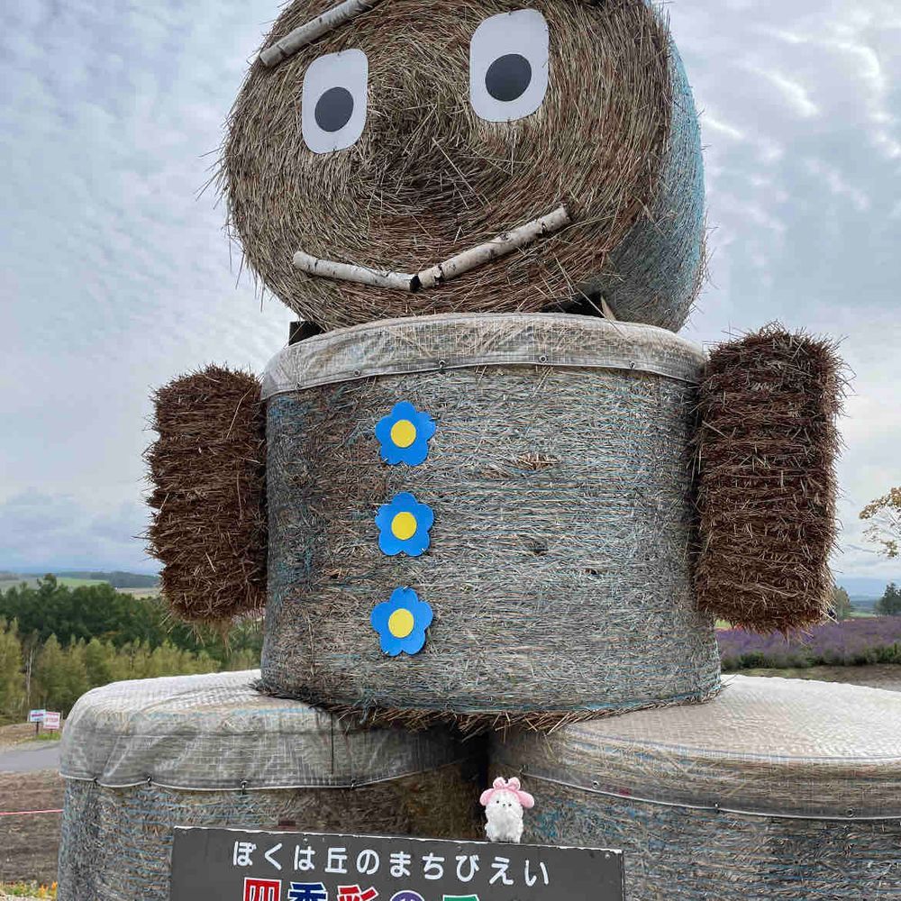 北海道最終日‼️美瑛の丘と青の池へ〜
丘は10月だけどお花満開で上から見るお花のシマシマがキレイだった🌸
青の池は思ったより青くて感動したぞ‼️💙（僕合成）お土産にお煎餅買った❣️そうそう、ここで連行したモモンガのパポです、よろしくね( * ॑꒳ ॑*)✌️
北海道写真のお付き合いありがとう〜😊
