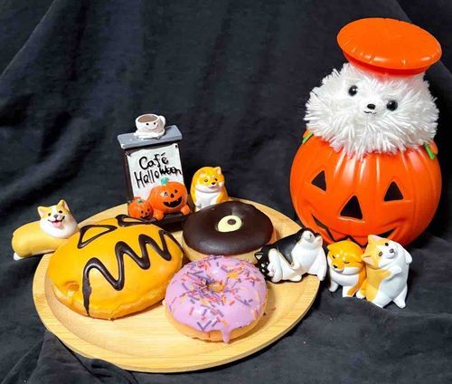 ちっさいワンズの友達とクリスピークリームドーナツ🍩🥯🎃(o'ч'o)♡