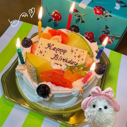 おねーちゃん、誕生日おめでとうなのだ‼️ロウソク点火！歌って🎶フーッして…おい、そこの2人落ち着け( ･᷄ὢ･᷅ )