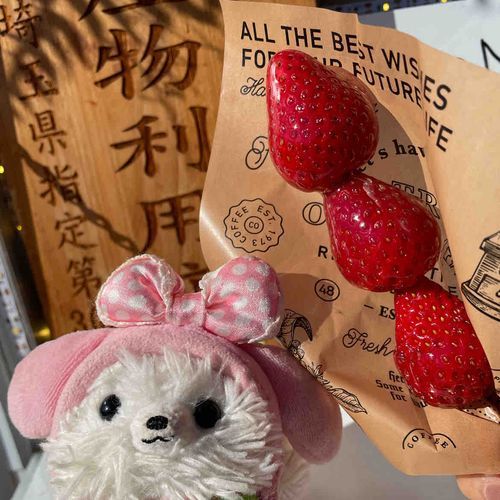 おはよう☀️昨日は🍓を買いにドライブ🚗💨途中イチゴ飴食べた！カリカリジュワ〜😋
ランチはナスミートグラタンうまし‼️無事🍓ゲットだぜ❗️あまあまだよ(*´ч`*)
