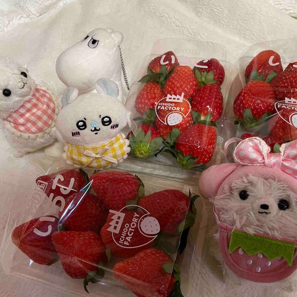 おはよう☀️昨日は🍓を買いにドライブ🚗💨途中イチゴ飴食べた！カリカリジュワ〜😋
ランチはナスミートグラタンうまし‼️無事🍓ゲットだぜ❗️あまあまだよ(*´ч`*)