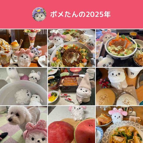 ふわもこのお友達、今年もイイネやコメントありがとう🍀*゜振り返り、お風呂が入ってる🤣あっ！という間の1年だったなぁ〜来年もみんなにとって平和で楽しい1年になりますように♡暴飲暴食に注意だぞ‼️
来年もよろしくね꒰՞o̴̶̷̤ᾥo̴̶̷̤՞꒱🐍🐎