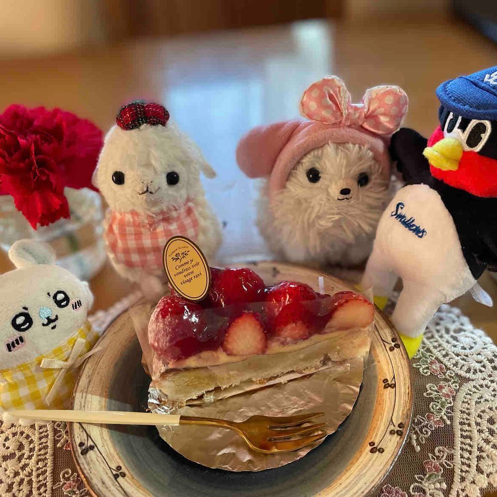 これは主がハピバの時のケーキ🎂！🧸さん、どこから攻めようか狙ってる面々…🍓ケーキは主の物‼️僕らのお菓子はコレ！ローソンのキャラメルコーンだぞ！デカさに驚愕😳